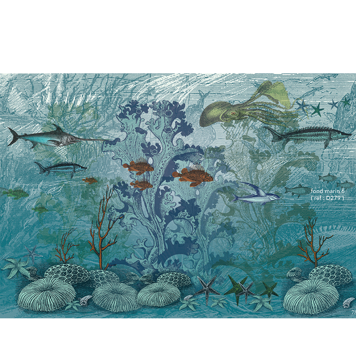 Fonds Marins 6
