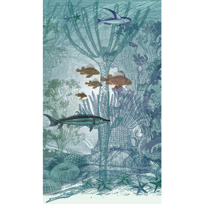 Fonds Marins 7