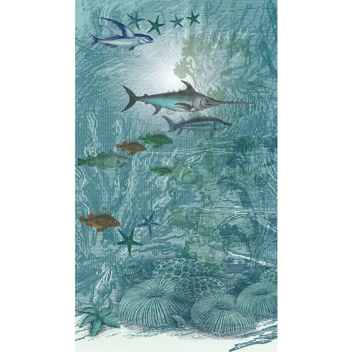 Fonds Marins 8