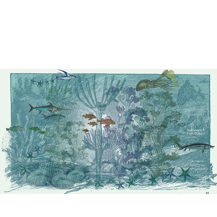 Fonds Marins 9