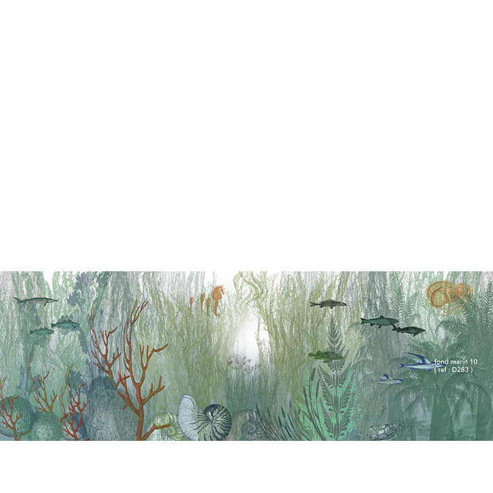 Fonds Marins 10
