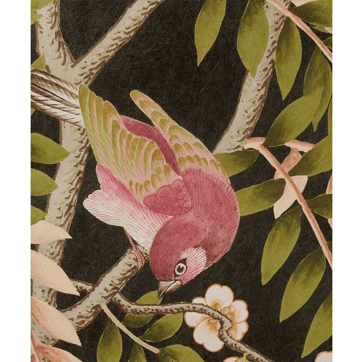 SILK TREE