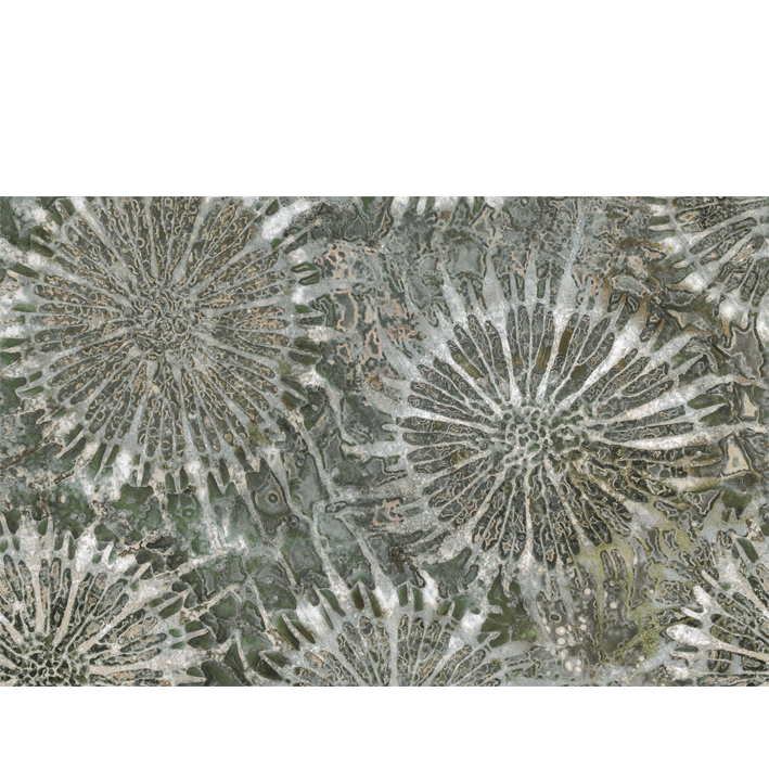 Paleocorals