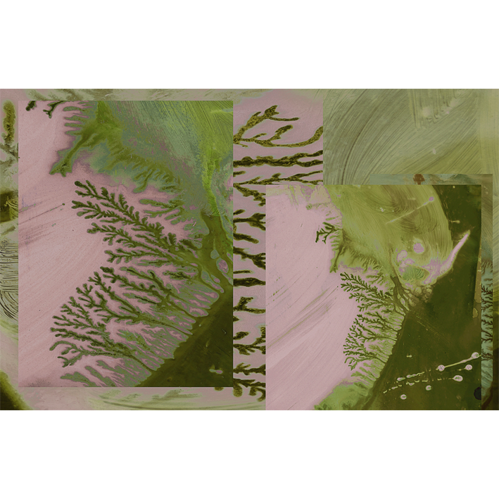 ABSTRACT LANDSCAPE