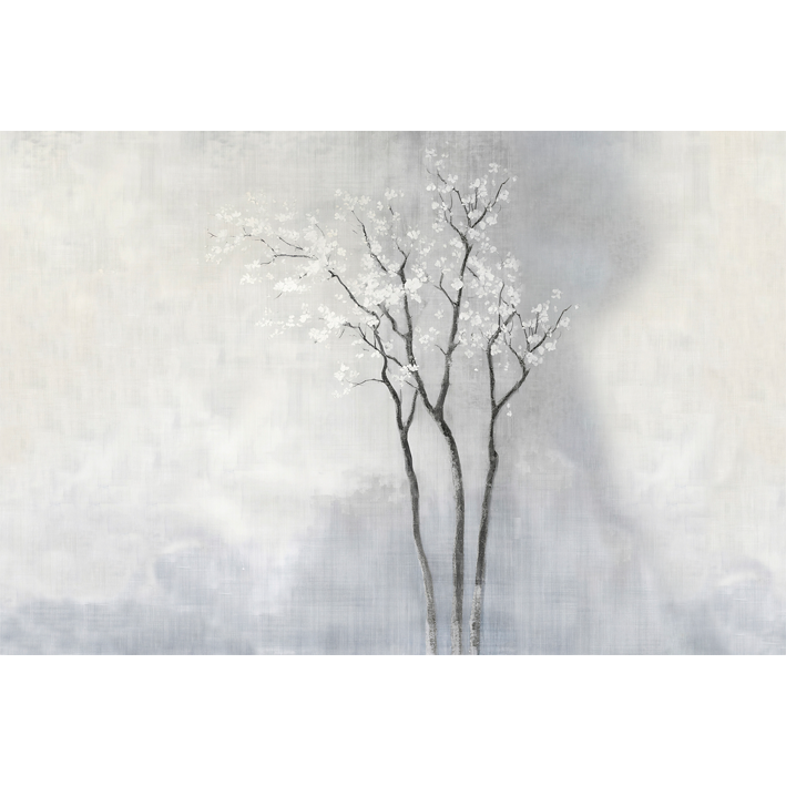 WHITE SPRING